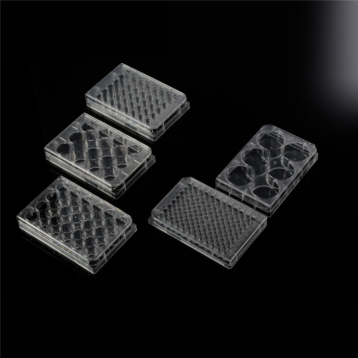 24-well PS Cell Culture Plate For Laboratory