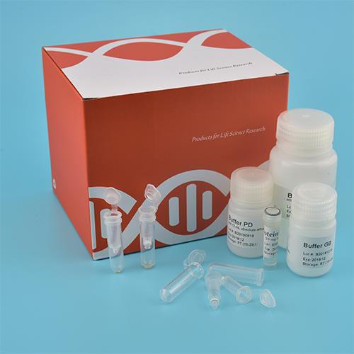 Bacterial Genomic DNA Kit (Spin Column)