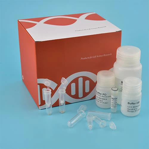 Soil Genomic DNA Kit (Spin Column)