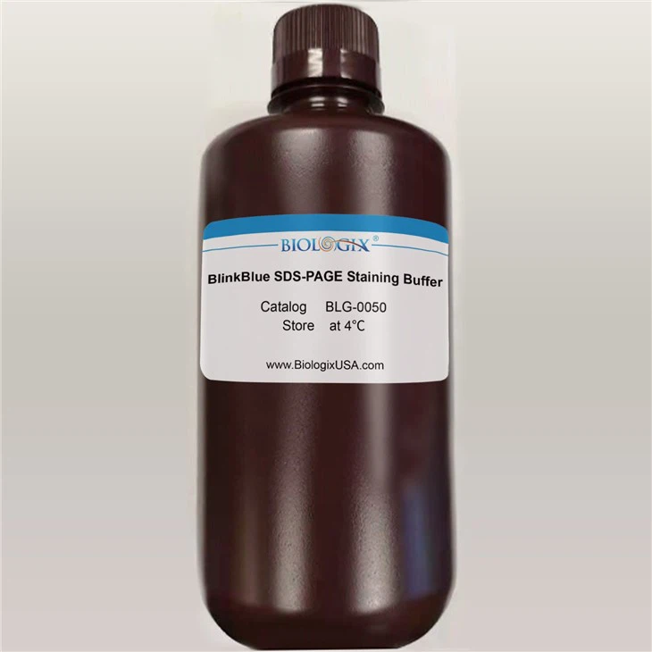 Biologix Blink Blue Protein Stain Buffer, 50ml/1000ml, Instant Blue
