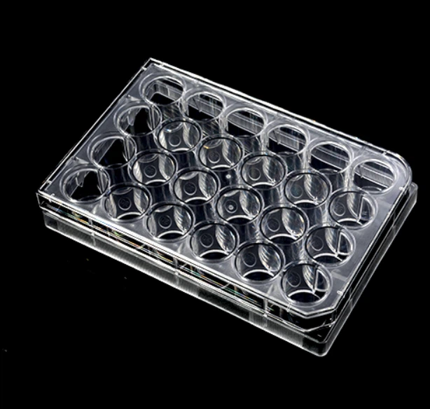 Cell Culture Plates