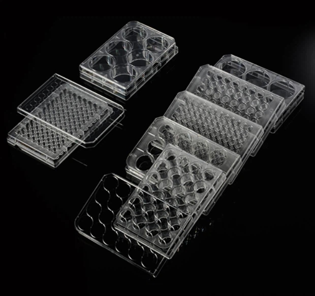 Cell Culture Plates