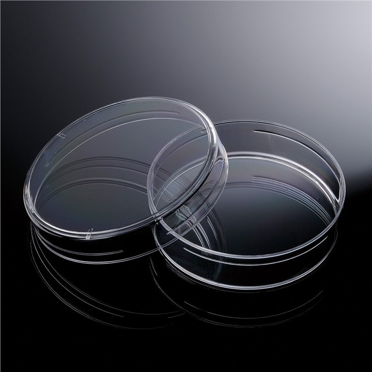 Disposable Plastic Sterile 90x15mm Petri Dishes