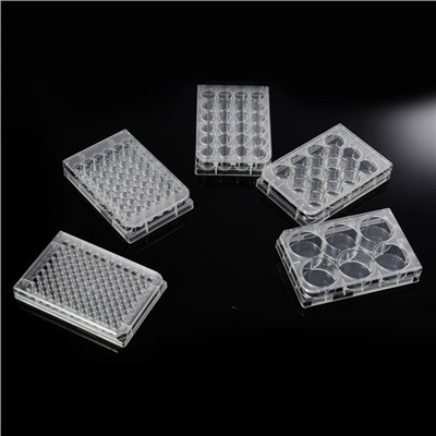 6/12/24/36/48/96-Well TC Treated Cell Culture Plates