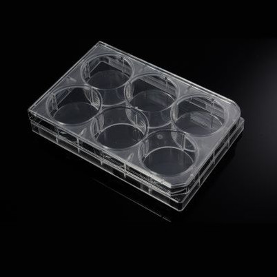 Cell Culture Plates-Constructed Of Prime Virgin Polystyrene-Individually Packaged-Sterile