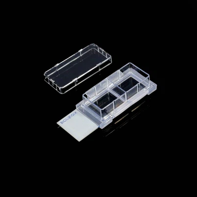 Microscope Transparent Chamber Numbering Cell Culture Slide