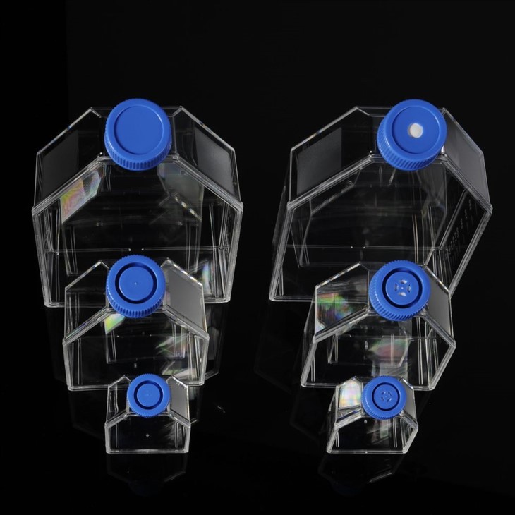 25 75 175 Cm² Treated Tissue Cell Culture Flask Manufacturers and