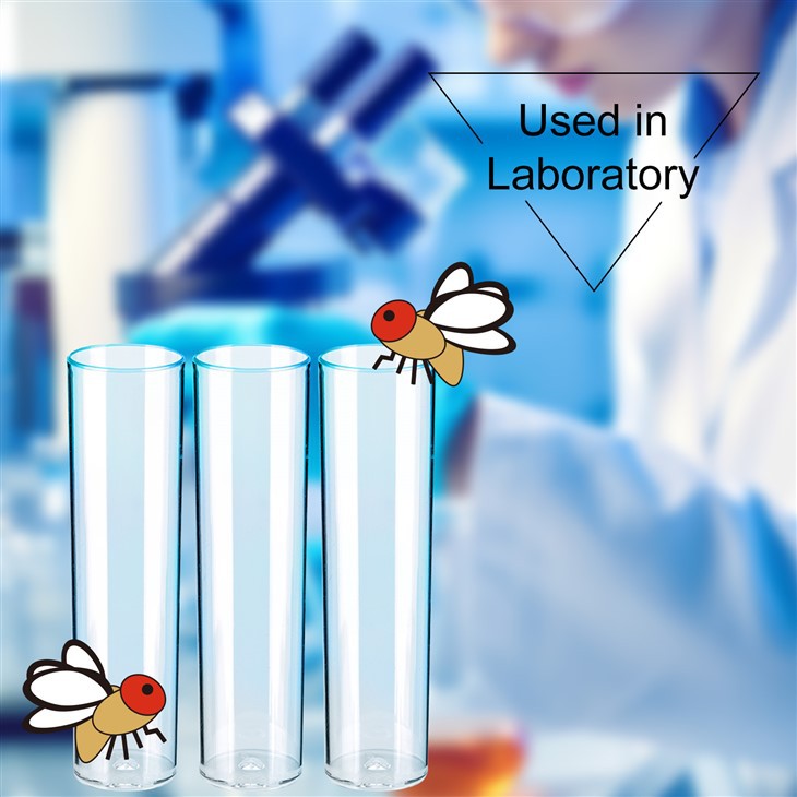 PS/PP/K-Resin Drosophila Vials